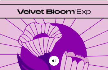 Native Instruments Velvet Bloom